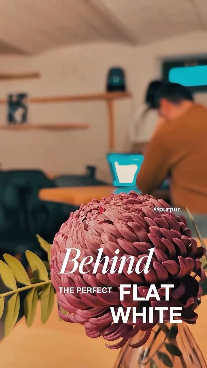 Purpur Coffee gallery image
